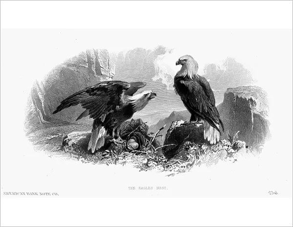 THE EAGLES NEST, 1870. American banknote engraving, c1870