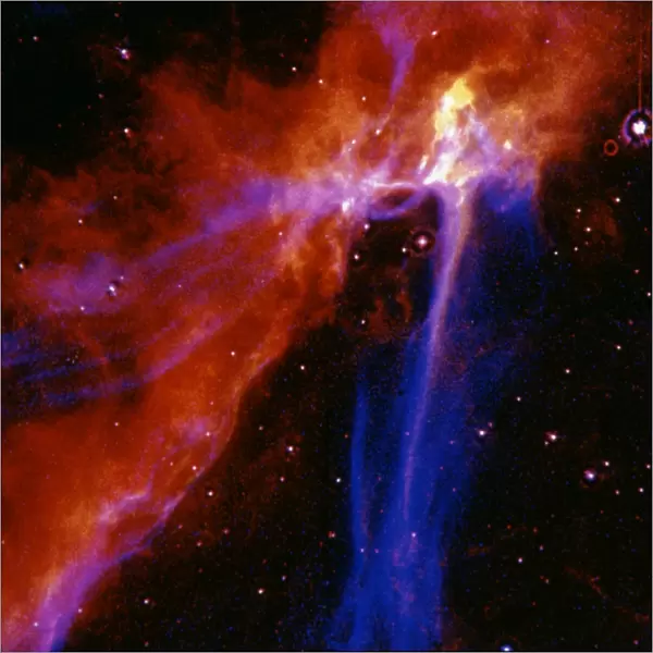SPACE: SUPERNOVA. A portion of the Cygnus Loop supernova remnant in the constellation Cygnus. Photographed by the Hubble Space Telescope Wide Field  /  Planetary Camera, 1991