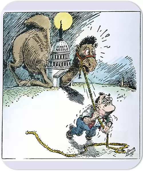 American cartoon, 1937, showing President Franklin D. Roosevelt attempting the impossible task of pulling his Supreme Court reform plan through the U. S. Senate