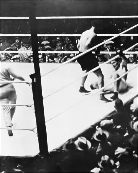 American boxer. Gene Tunney down for the famous long count in the championship bout with Dempsey at Soldier Field, Chicago, Illinois, 22 September 1927