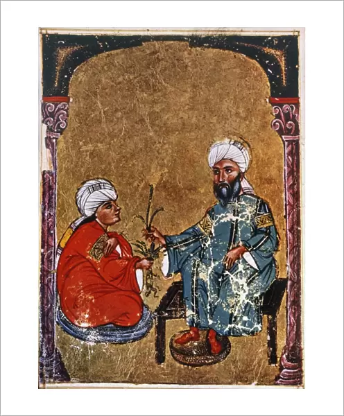 discuss the mandrake. Arabic ms. of De Materia Medica, 1229 A. D