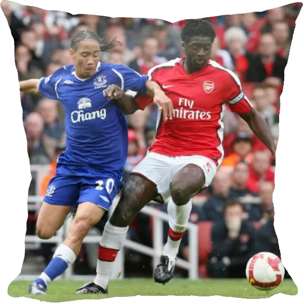 Kolo Toure (Arsenal) Steven Pienaar (Everton)
