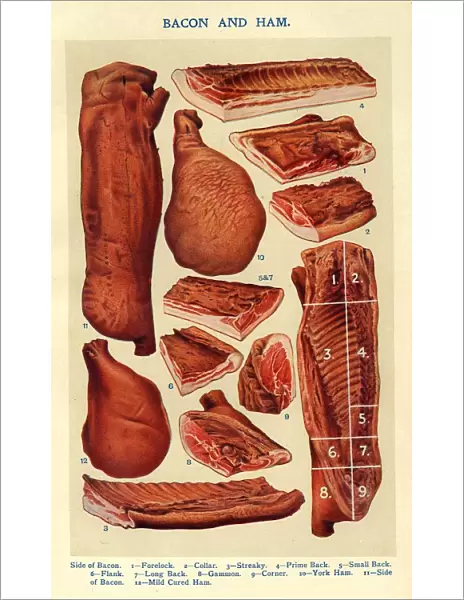 Bacon and Ham 1900s UK Isabella Beeton meat Mrs Beetons Book of Household Management