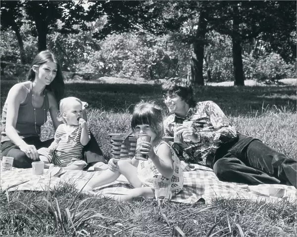 Family picnic in the park