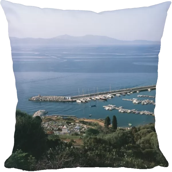 France, Corsica, Corse-du-Sud, Aerial view of port of Cargese