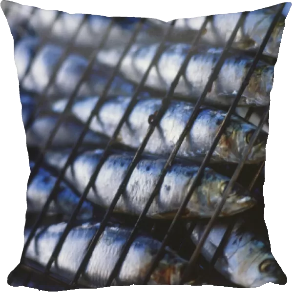 Heads of raw whole sardines threaded into barbecue grill in a row, close up