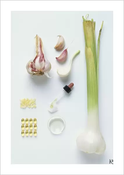 Allium sativum, Garlic, whole cloves, bulb and stem of fresh plant, and processed garlic, including chopped cloves, syrup and pearls, view from above