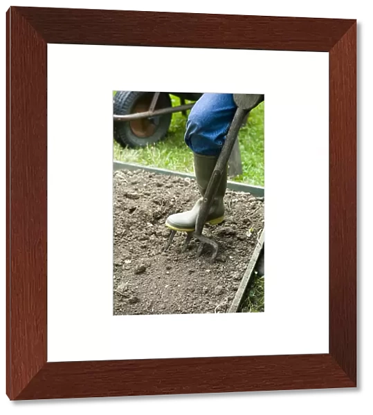 Digging hole in soil using garden fork