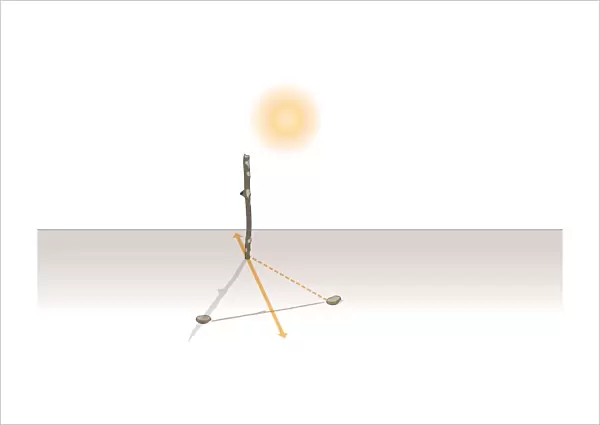 Digital illustration of how to track orientation of the sun using shadow stick and stones