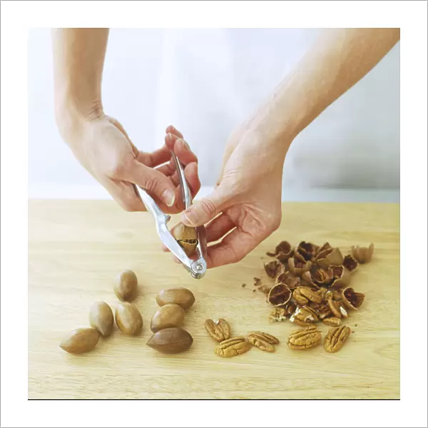Using a nutcracker to shell pecans and walnuts
