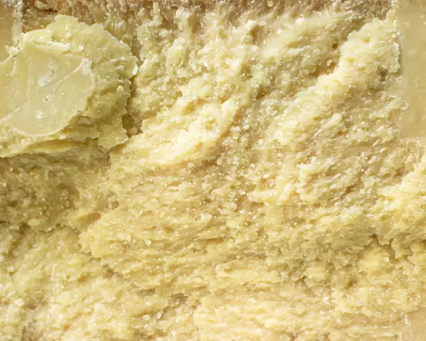 Italian Parmigiano-Reggiano cows milk cheese, close-up