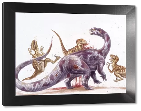 Palaeozoology, Cretaceous period, Dinosaurs, Deinonychus and Tenontosaurus, illustration