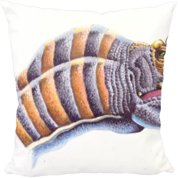 Palaeozoology, Cretaceous period, Maleevosaurus (head), illustration by Steve White