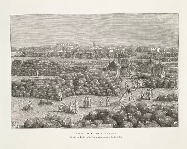 India, Bombay, cotton market, engraving from Nouvelle Geographie Universelle by Elisee Reclus, 19th century