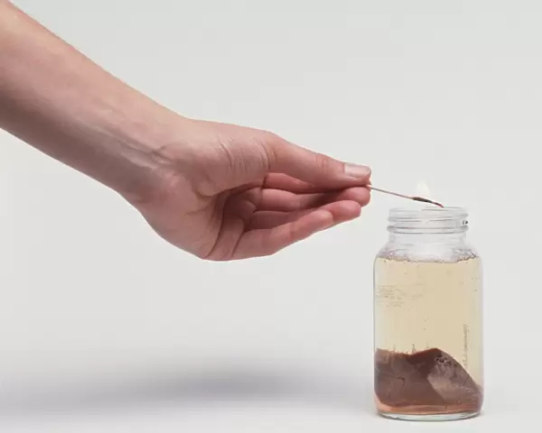 Hand holding lit match over jar of slightly yellowed liquid containing a piece of liver