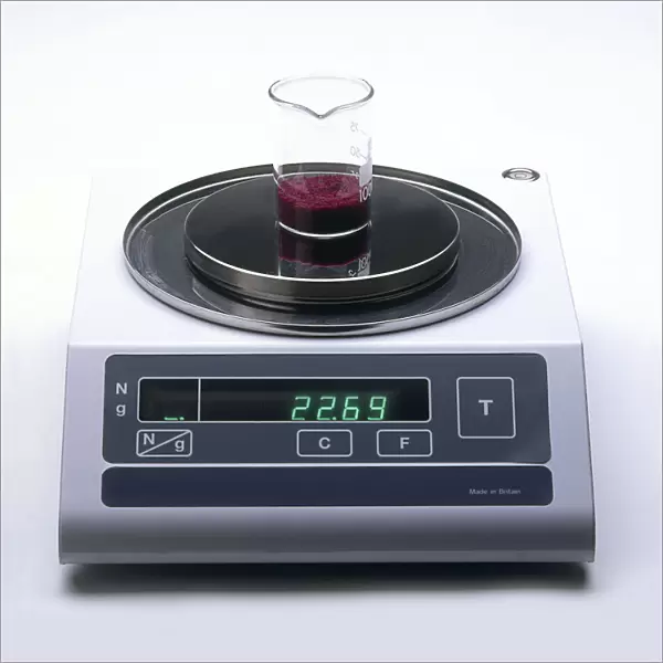 Beaker containing cobalt chloride, being weighed with digital scales