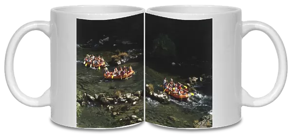 France, Gorges du Tarn, three water-rafting boats full of rowers in the river, elevated view