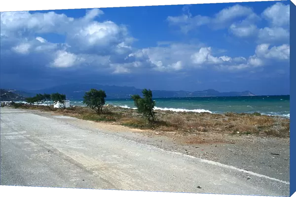 Greece, Evvoia, Ochthonia, wild, exposed beach, windswept trees and choppy sea
