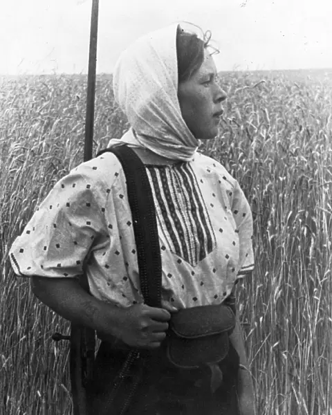 World war 2, anna suslina guarding the fields of the twelfth anniversary of october collective farm in the moscow region
