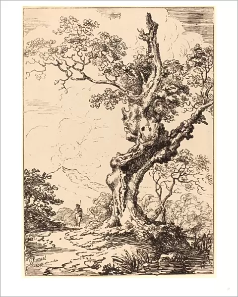 George Samuel (british, Active C. 1784 Probably 1824 ), Study Of An Old Oak Tree, Water On Right, A Man On Left, 1806, Pen-and-tusche Lithograph