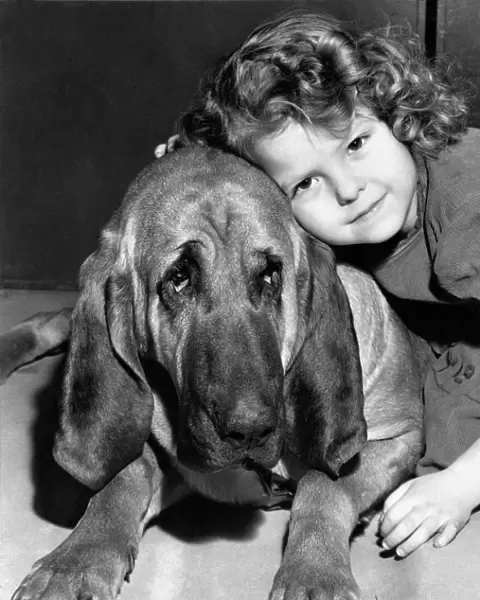 A Bloodhounds Best Friend