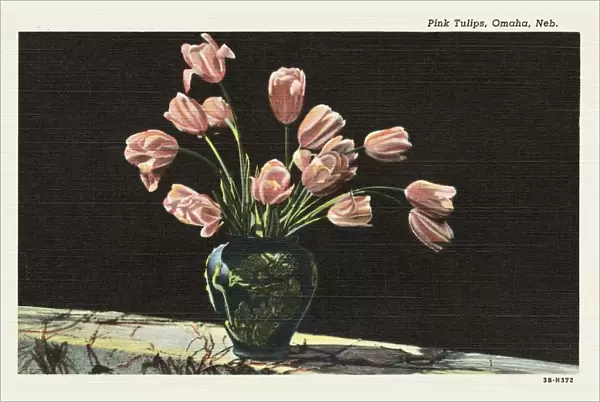Pink Tulips, Omaha, Neb. Postcard from Hand-Colored Print. 1943, Pink Tulips, Omaha, Neb. Postcard from Hand-Colored Print
