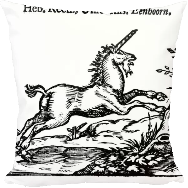 Unicorn (Heb. Reem, Unicornis. Eenhoorn). From Handelene van de Natuere (Amsterdam 1644)