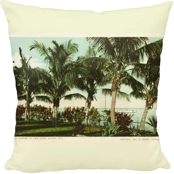 A Corner in the Park, Miami, Fla. Postcard. 1904, A Corner in the Park, Miami, Fla. Postcard