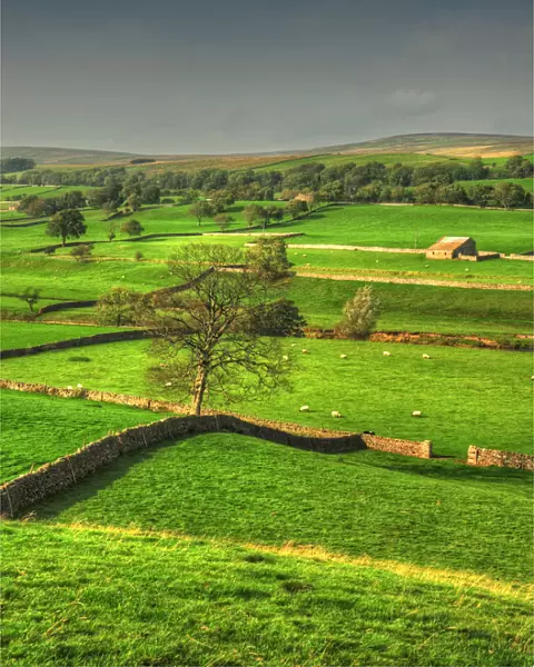 Countryside Yorkshire Dales