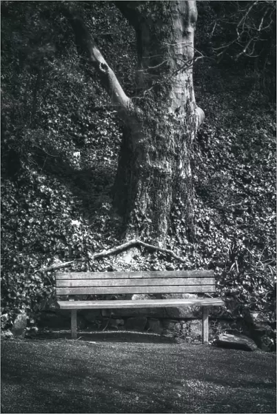Black and white bench