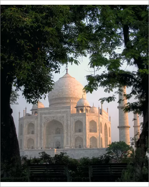 Taj Mahal behind trees at sunrise