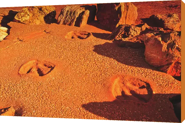 Gantheaume Point Dinosaur Footprints