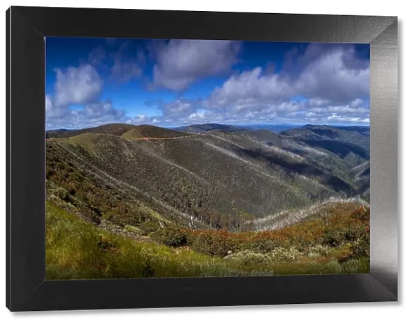 Viewpoint at Mount Hotham, showing the new growth after devastating bushfires