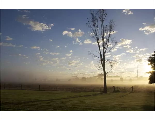Morning in mudgee