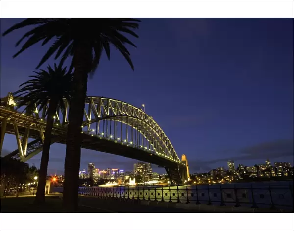 Australia, Sydney, palm trees in front of Harbour Bridge at night
