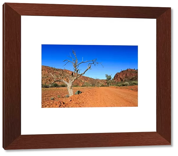 Outback road. Flinders Ranges. Australia