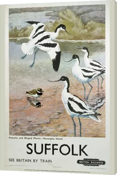 Suffolk, BR poster, c 1950s