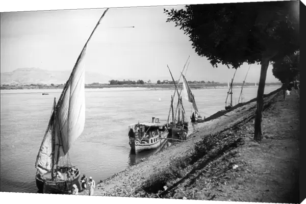 Banks Of The Nile
