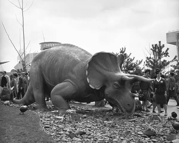 Triceratops model at jurassic park, (B&W)