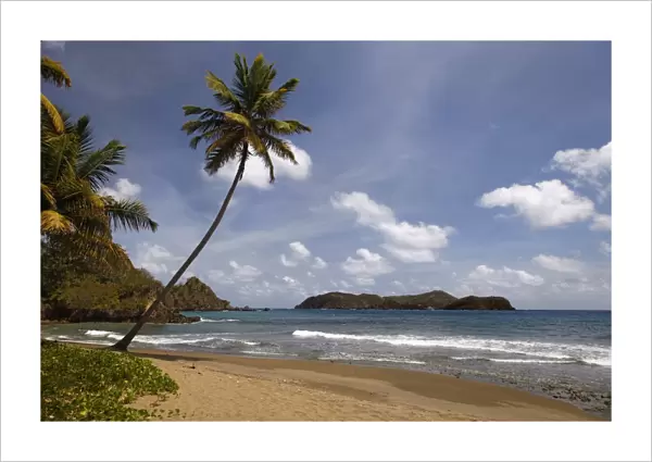 Sandy beach with surf, Little Tobago, Trinidad and Tobago