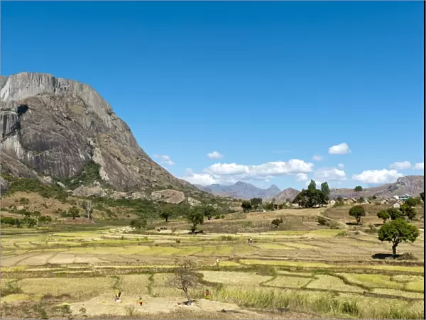 Landscape, terraced rice paddies of the Betsileo people with a large rocky mountain, Anja-Park near Ambalavao, Madagascar