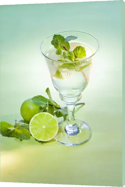 Hugo cocktail with lime and mint