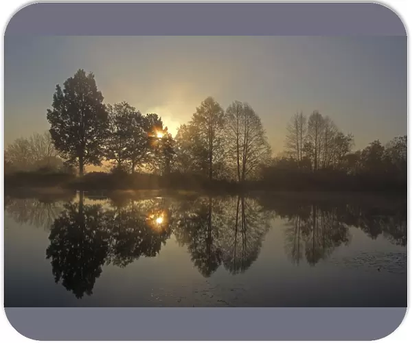 Early morning, sunrise, pond area, trees, November morning, Mittelberg district, Biberach, Upper Swabia, Baden-Wuerttemberg, Germany, Europe