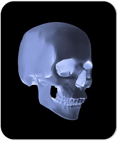 Human skull, glow effect, 3D illustration