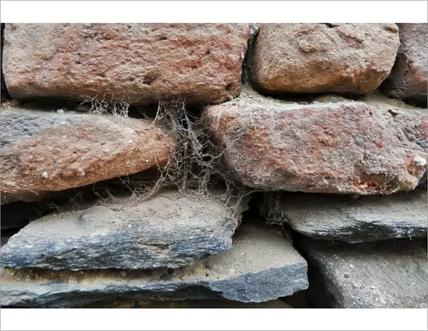 Cobwebs on a stone wall