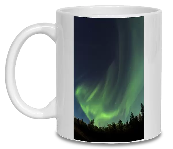 Swirling Northern lights, Polar Aurorae, Aurora Borealis, green, near Whitehorse, Yukon Territory, Canada