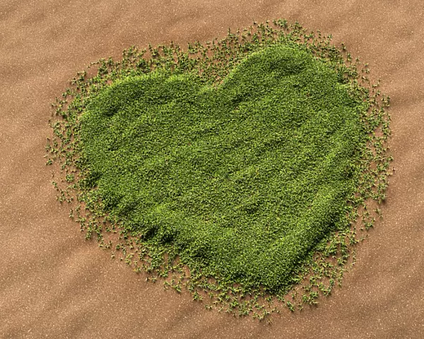 3d-visualisation of a heart-shaped grass area on a sandy surface