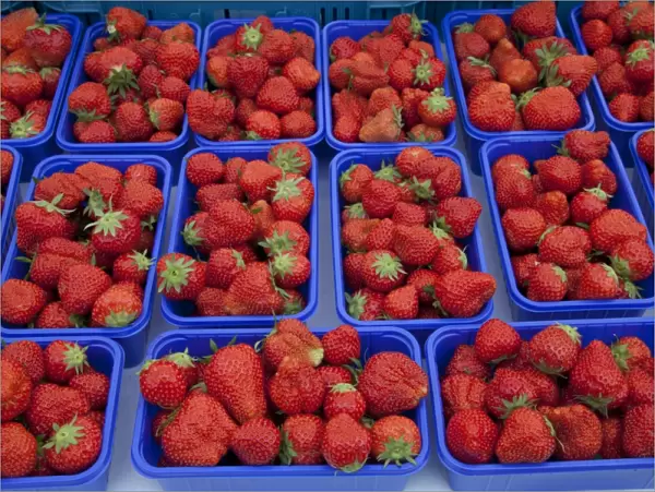 Bowls with strawberries on the market