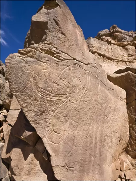 Rock engravings in the Wadi Mathendous, elephant, Wadi Barjuj, stone desert, Libya, Sahara, North Africa, Africa