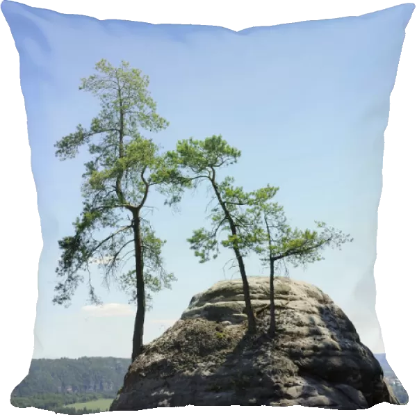 Bastion rock formation, Elbsandsteingebirge Elbe Sandstone Mountains, Nationalpark Saechsische Schweiz national park, Saxon Switzerland, Saxony